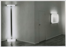 Dan Flavin