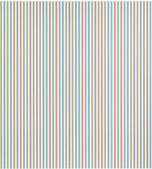 Bridget Riley