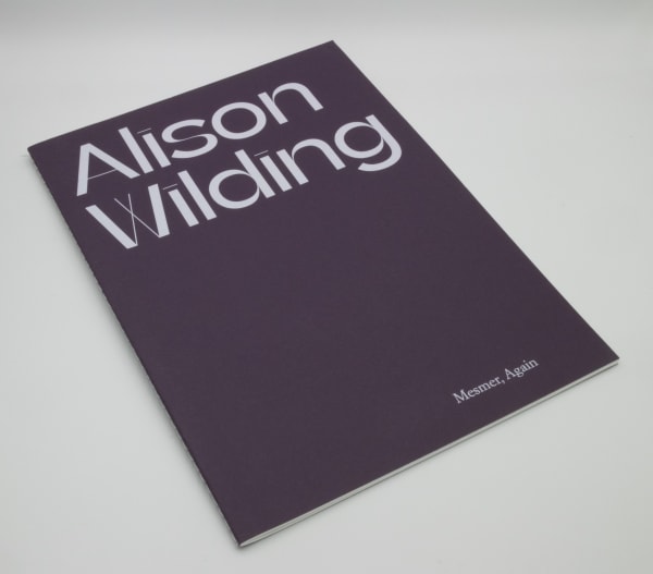 Alison Wilding